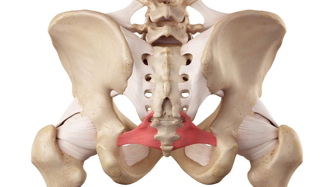 Chronic Groin Pain – More Than Just Osteitis Pubis - Newcastle